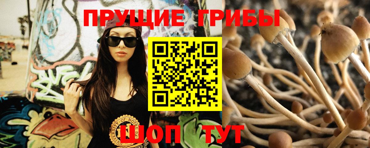 Галлюциногенные грибы Cubensis  Вход с VPN  Вологда 